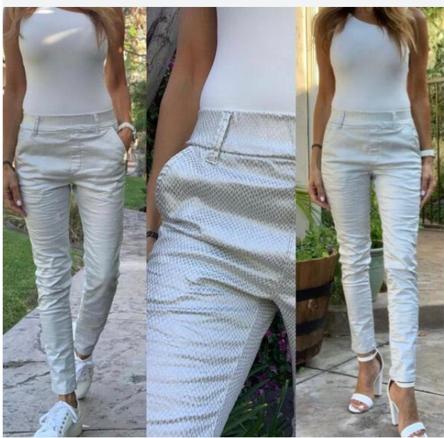 Dafna Silver python